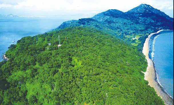 202006051622048457.jpg 202006051622048457.jpg