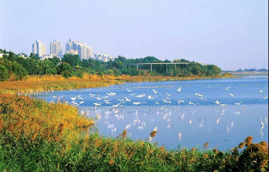 202006051626273185.jpg 202006051626273185.jpg